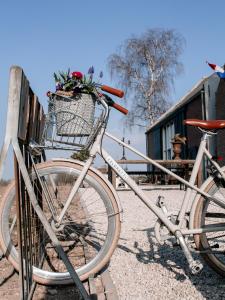 多德雷赫特De Zuileshoeve的一辆自行车,上面装有鲜花篮子