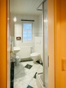 奥伯霍夫Gaststätte & Pension Waldschlösschen的一间带卫生间和水槽的浴室