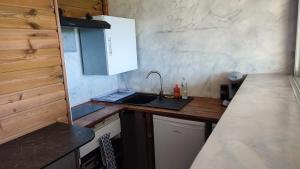 Case-PiloteSunset Sapphire的一个带水槽和柜台的小厨房