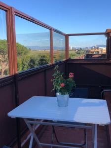 罗马Gioconda’s Apartment的阳台上的白色桌子上放着盆栽植物