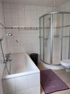 UtzenstorfBeautiful house with free parking on premise的带淋浴、浴缸和卫生间的浴室
