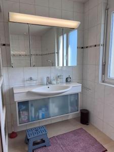 UtzenstorfBeautiful house with free parking on premise的一间带水槽和镜子的浴室