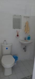卡利Helena Hostel的白色的浴室设有卫生间和水槽。