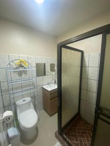 曼努埃尔安东尼奥Agutí Apartment的一间带卫生间和水槽的浴室