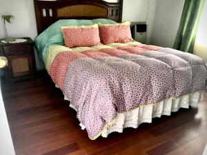 蓬塔阿雷纳斯Cabañas Esmeralda con Desayuno的床上有枕头,有毯子