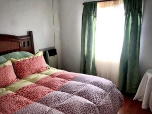 蓬塔阿雷纳斯Cabañas Esmeralda con Desayuno的一间卧室设有一张床和一个窗口