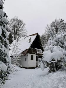 伊利尔斯卡比斯特里察Koča Kresnica的一座房子,被雪覆盖在树旁