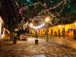 科马亚瓜Casco histórico Demeter的树上灯火的夜街