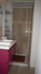 埃瑞兹le gîte Lou Jas的一间带水槽和淋浴的浴室
