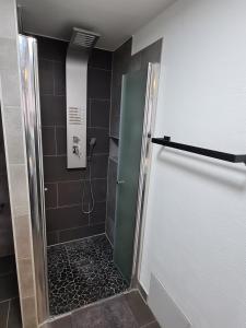 青斯特Möwenstübchen的浴室里设有玻璃门淋浴