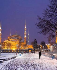 伊斯坦布尔Nomade Hotel Exclusive的在一个清真寺前的雪中行走的男人