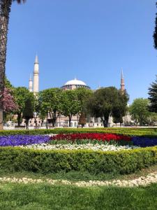 伊斯坦布尔Nomade Hotel Exclusive的一座花园,后面有一座清真寺