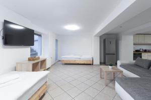 杜塞尔多夫T&K Apartments - Dusseldorf - 2 rooms - Ground floor的一间带两张床和一张沙发的客厅