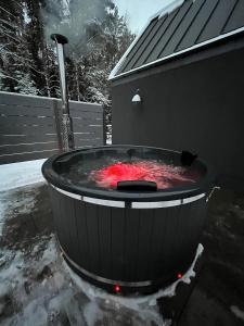 拉脱维亚Putnu pirts的一个大热水浴缸,里面装有红色液体