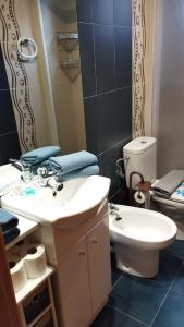 坎丹奇奥Apartamento Riglos Candanchu的一间带水槽、卫生间和镜子的浴室