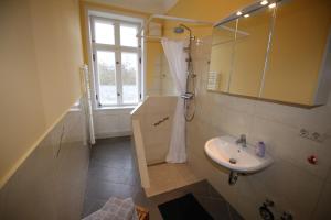 吕贝克霍华特庄园公寓的一间带水槽、淋浴和镜子的浴室