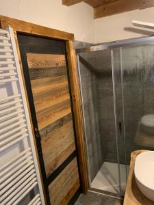 坎皮泰洛迪法萨Cèsa Viosadea的带淋浴的浴室和玻璃门