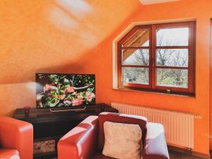 WassersuppeLandhaus Charlotte - Storchennest的带沙发和窗户的客厅