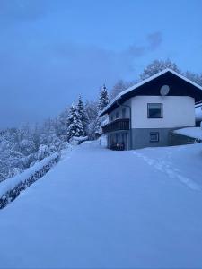拉登泰因Nocky Mountains Lodge的一座房子被雪覆盖,背后有树木