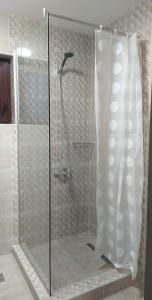 布拉索夫Casa Familiei的浴室里设有玻璃门淋浴