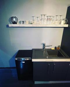 罗纳河畔的图尔农The Dream Spa 07的厨房配有水槽和带玻璃杯的架子