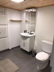 SalgeschLa Maisonnette : charmante maison indépendante的一间带卫生间和水槽的浴室