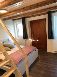 SalgeschLa Maisonnette : charmante maison indépendante的一间卧室配有一张双层床和梯子