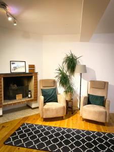 阿尔维斯尧尔Lumi Guest House的客厅配有两把椅子和壁炉