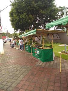 瓜拉雷马Recanto Cheio de Cheiro的农民市场,人们站在树冠之下