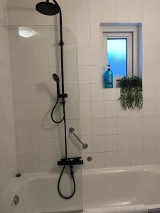 圣尼古拉斯哈Vakantiewoning 'Eysinga State'的带淋浴的浴室