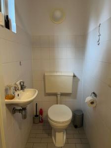 圣尼古拉斯哈Vakantiewoning 'Eysinga State'的一间带卫生间和水槽的小浴室