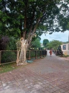 瓜拉雷马Recanto Cheio de Cheiro的树旁的栅栏上的网