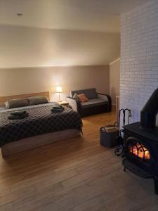 斯伽尔达Rožu iela的一间卧室配有一张床、一张沙发和一个壁炉