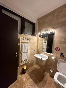 奥托佩尼Apartament Otopeni的一间带水槽、卫生间和镜子的浴室