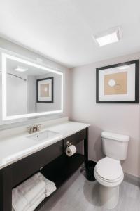 孟菲斯Country Inn & Suites by Radisson, Wolfchase-Memphis, TN的一间带卫生间、水槽和镜子的浴室