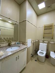 巴库My Music Hotel Baku的一间带卫生间、水槽和镜子的浴室