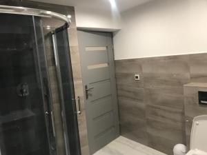 RaczkiApartament, noclegi na doby - Raczki k. Suwałk的浴室配有淋浴间和卫生间。