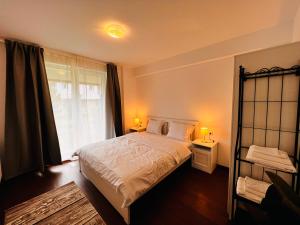 奥托佩尼Libertatii Gardens Residences的一间卧室配有一张床、一个窗口和两盏灯。