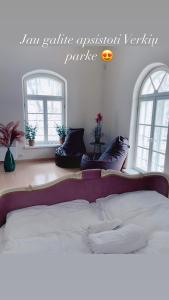 维尔纽斯Krioklio Namelis Verkiuose的一间卧室设有一张大床和两个窗户。
