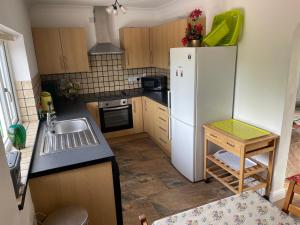 庞蒂浦Blackthorn Meadow的厨房配有白色冰箱和水槽