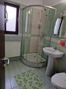 拉姆尼库沃尔恰Pensiunea Carpe Diem的带淋浴和盥洗盆的浴室