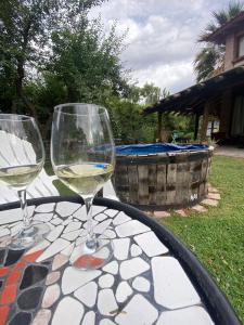 维斯塔尔巴Residencia en Casa de artista的桌子上坐着两杯白葡萄酒