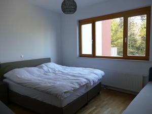 霍茨科波霍尔耶Forest Green Pohorje Apartment的一间卧室设有一张床和一个窗口