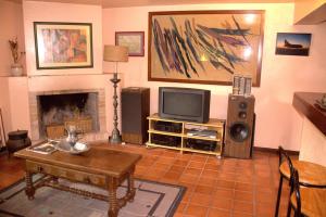 贡多马尔Cork Tree Villa的一间带电视和壁炉的客厅