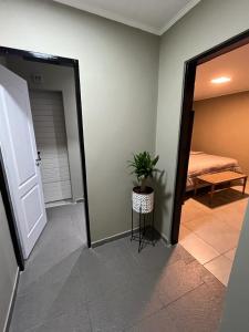 伊瓜苏港Casa Céntrica para alquiler vacacional的一间房间,门通往种植了植物的卧室