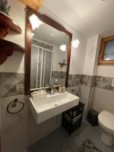 阿巴迪亚圣萨尔瓦托雷Chalet I Folletti的一间带水槽、卫生间和镜子的浴室