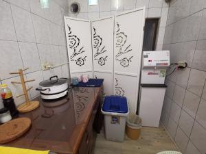 台南Goodyear 台南包棟民宿的厨房配有带水槽和卫生间的台面