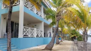 克拉伦代克Kas Lagoen Blou (Ocean Breeze 13)的一座蓝色的建筑,前面有棕榈树