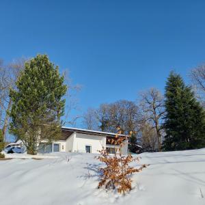 温特贝格adBs Ferienhaus的一座有树木的雪地庭院内的房子