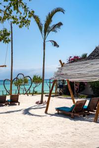 基济姆卡济Aya Beach Resort的海滩上的一组椅子,与大海相连